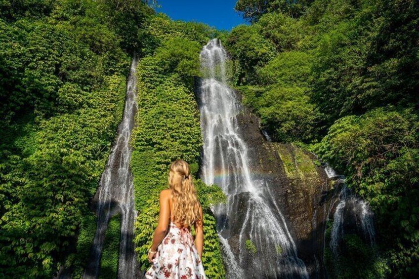 Una cascada rodeada de exuberante follaje. 1