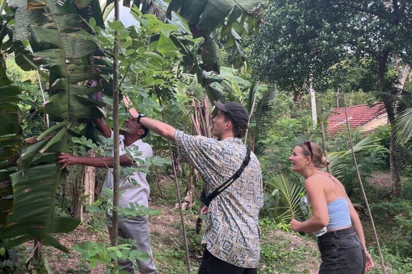 Cinnamon Walawwa Spice Garden Cooking Class 2