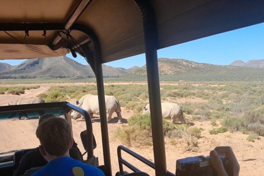 A safari vehicle with two people observing rhinoceroses in a desert landscape with mountains in the background. 3