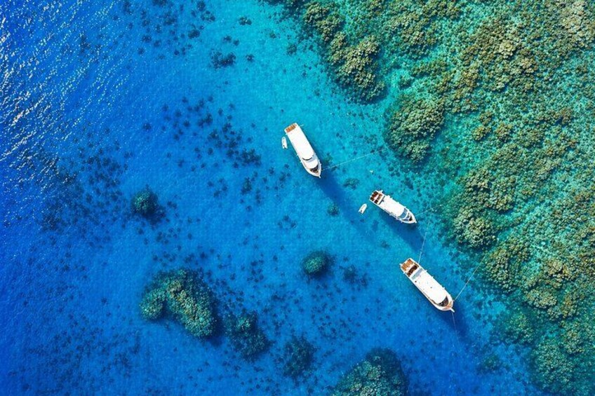 Hurghada: VIP Seafood Yacht to 3 Islands, Dolphins & Snorkeling 1
