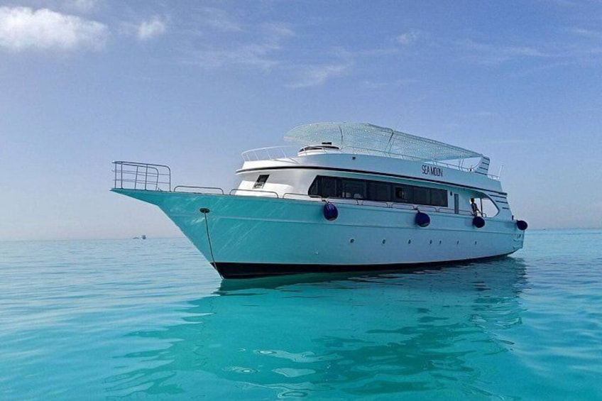 Hurghada: VIP Seafood Yacht to 3 Islands, Dolphins & Snorkeling 3