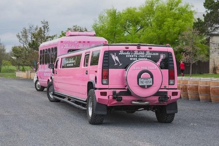 A pink bus with 'Bocce Ball's Bubble Bus' written on the back, parked on a road with trees and a building in the background. 1
