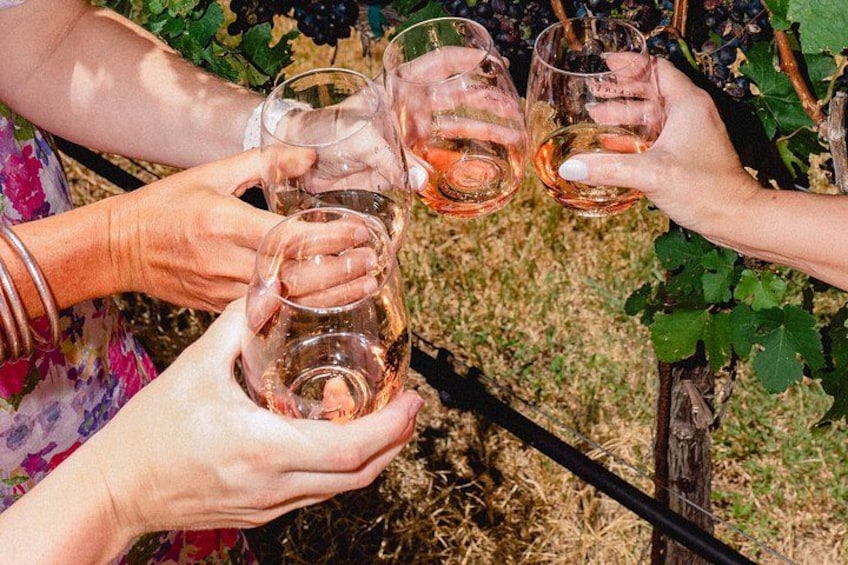 People holding wine glasses in a vineyard. 4