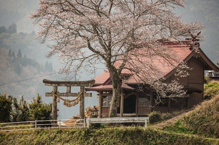 Takachiho Gorge Shrine and Aso Volcano Helicopter 2