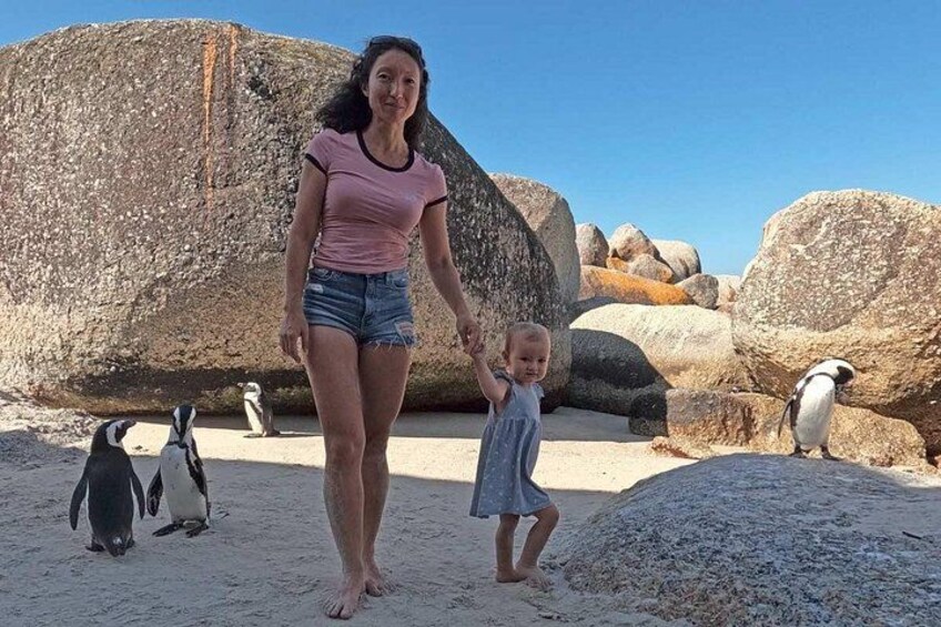 A person walking on a sandy beach with large rocks and penguins in the background. 4