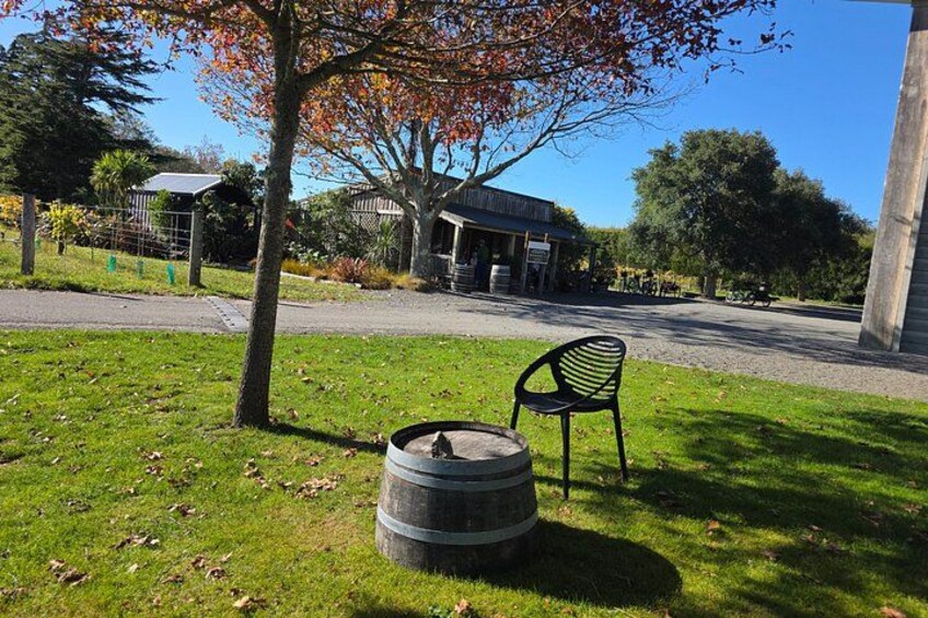 Wine and Food Tour to Martinbough 2