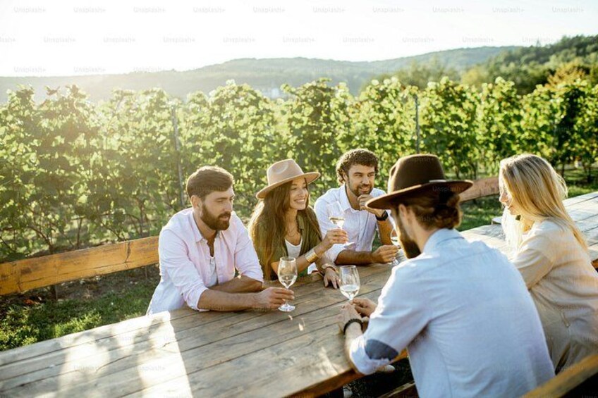 Wine and Food Tour to Martinbough 2