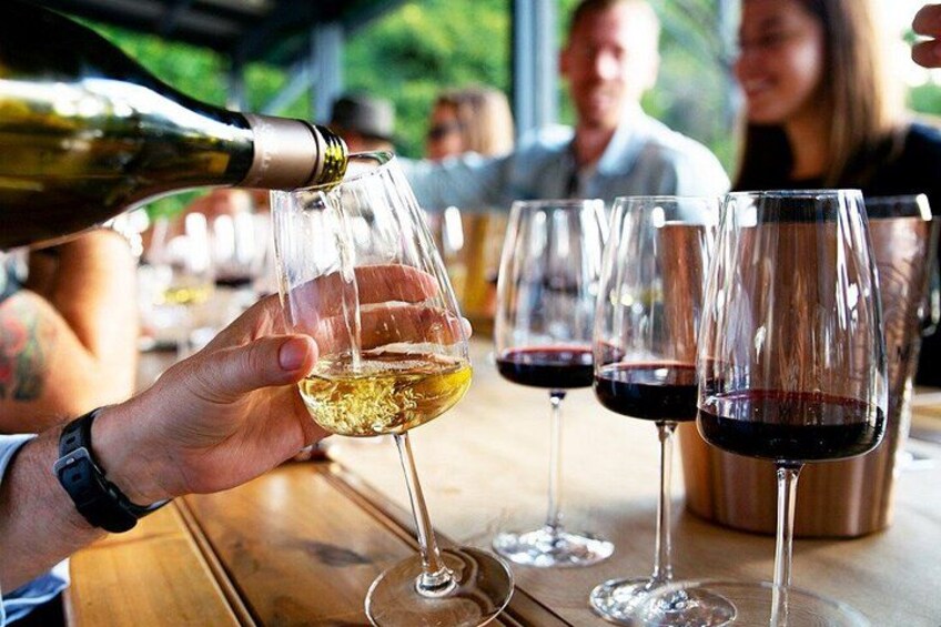 Taste some of the best wines in the Wairarapa 1