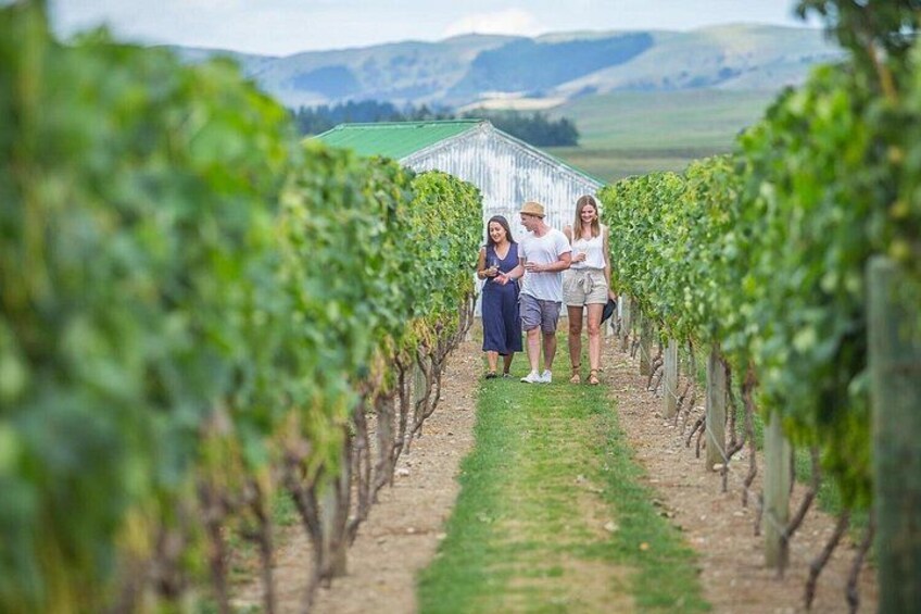 Wine and Food Tour to Martinbough 3