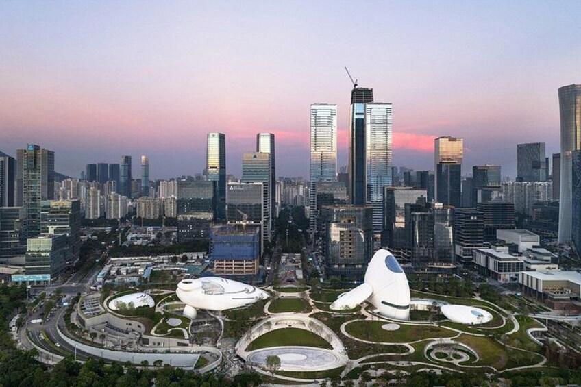 Shenzhen Tour: Robotaxis, AI Robots & Drone Delivery Experience 2