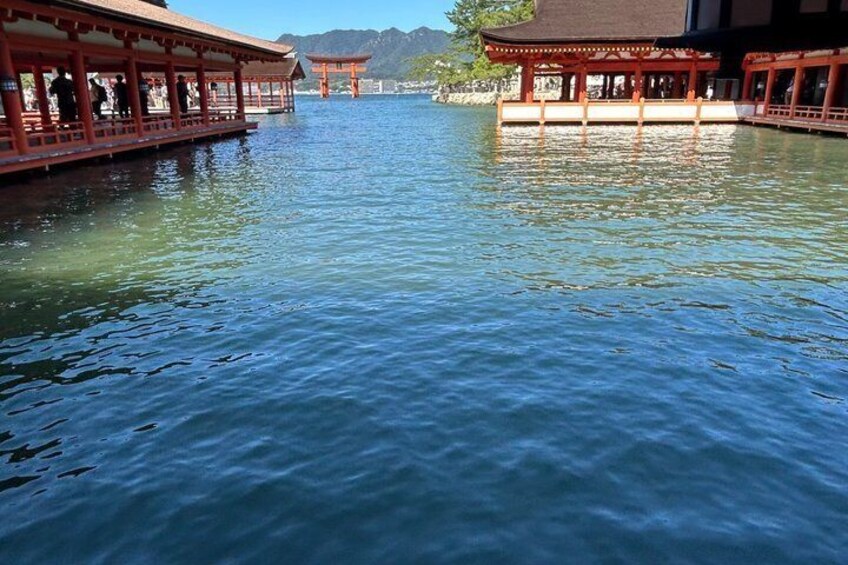 Hiroshima and Miyajima Private English Tour 5