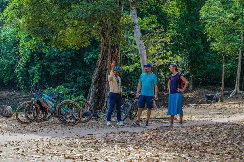 Three people standing by bicycles in a forested area with trees and a dirt path. 4