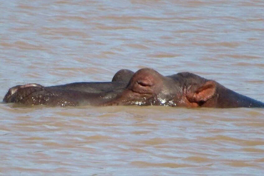 10 Day Kruger Park Safari And Community Service 4
