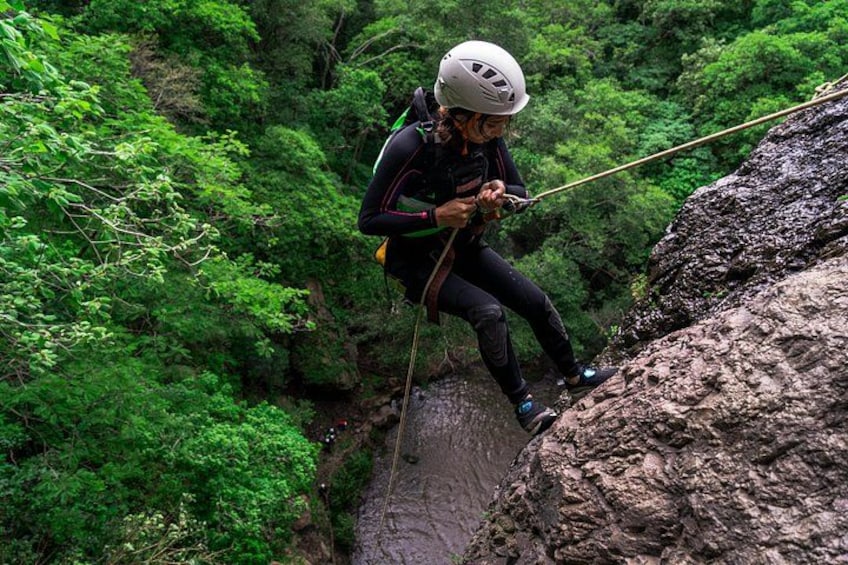 A person rappelling down a rocky cliff surrounded by dense green foliage. 3