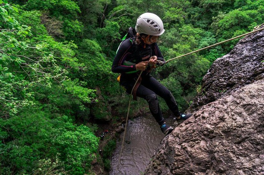 A person rappelling down a rocky cliff surrounded by dense green foliage. 3