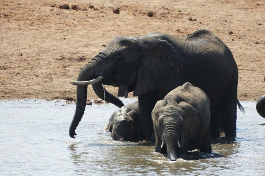 An elephant and a baby elephant in a body of water. 2