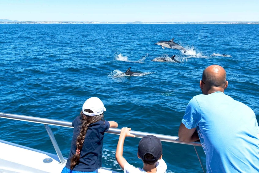 Picture 1 for Activity Portimao:Dolphins & Benagil Caves Catamaran-Marine Biologist 3