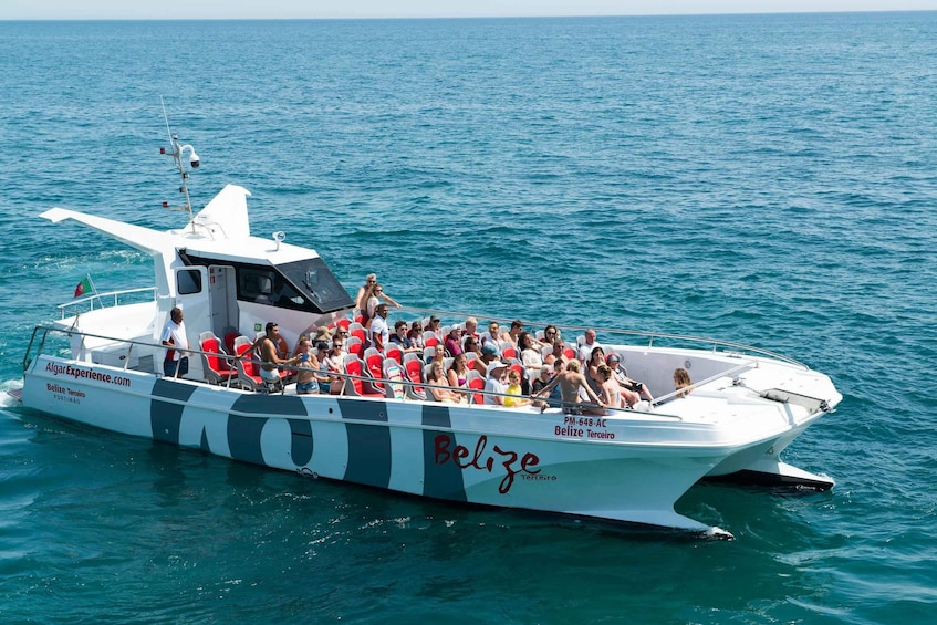 Portimao:Dolphins & Benagil Caves Catamaran-Marine Biologist 1