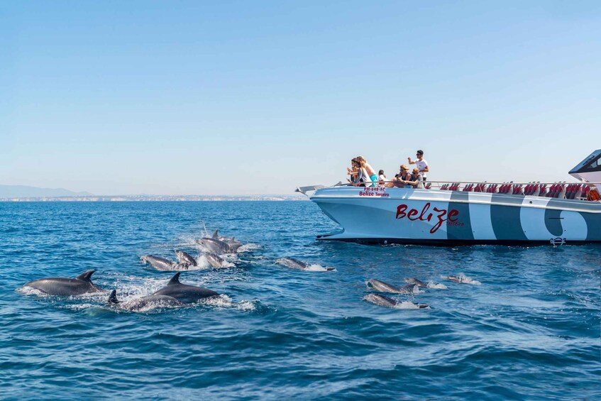 Portimão:Dolphins & Benagil Caves Catamaran-Marine Biologist 1