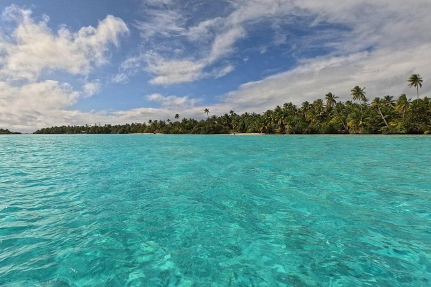 A turquoise sea, a clear sky, and a line of palm trees on a tropical island. 5