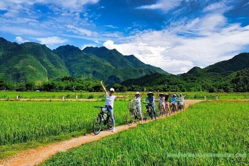 A group of people cycling on a path through a green field with mountains in the background. 5