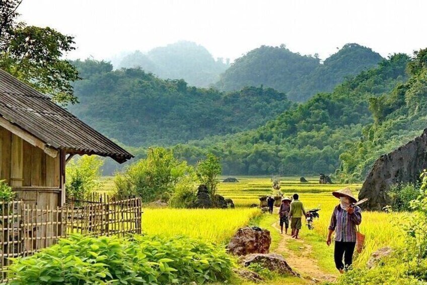 A rural landscape with a wooden house, a path, and people walking in a field. 2