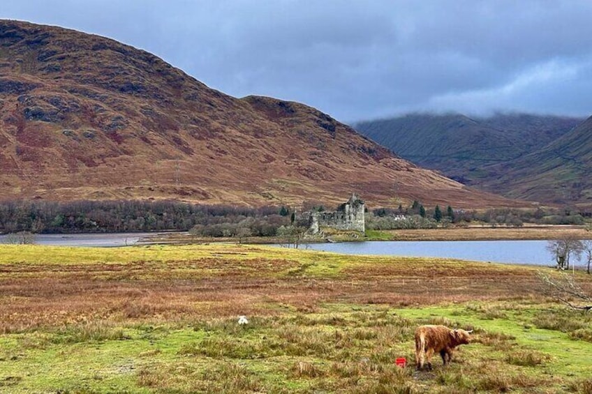 Edinburgh Lochs and Castles of the West Highlands Tour 5