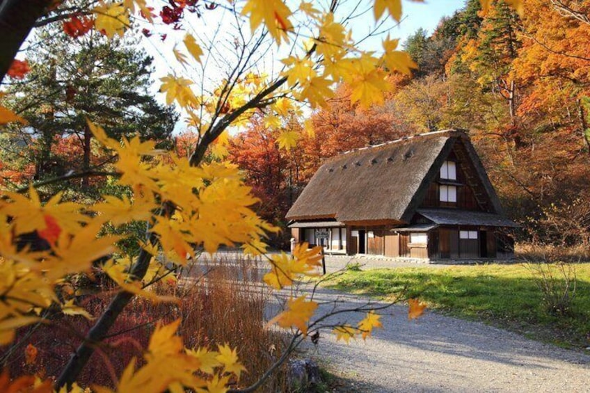 Fairytale Japan: Shirakawa-go & Takayama Day Tour from Nagoya 4