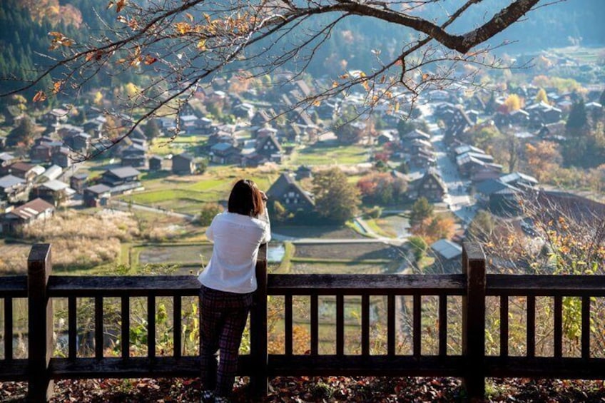 Fairytale Japan: Shirakawa-go & Takayama Day Tour from Nagoya 5