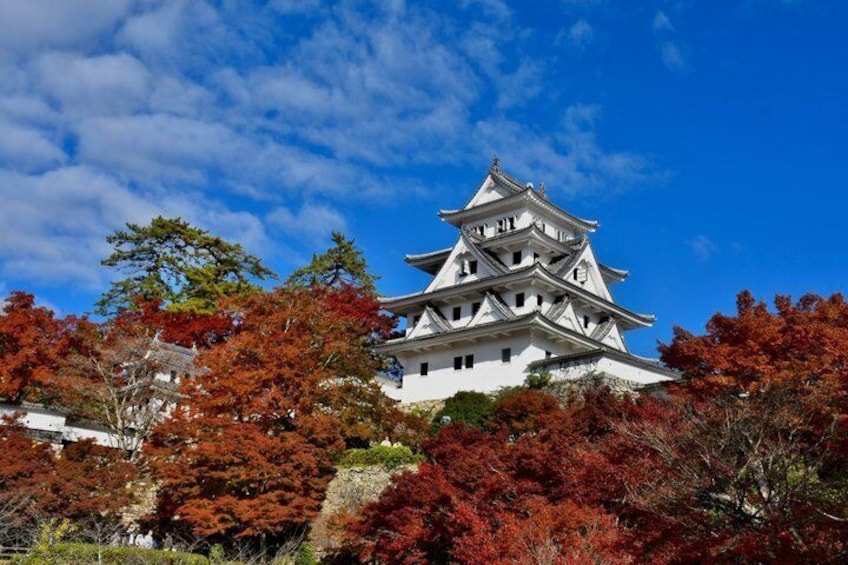 Fairytale Japan: Shirakawa-go & Takayama Day Tour from Nagoya 3