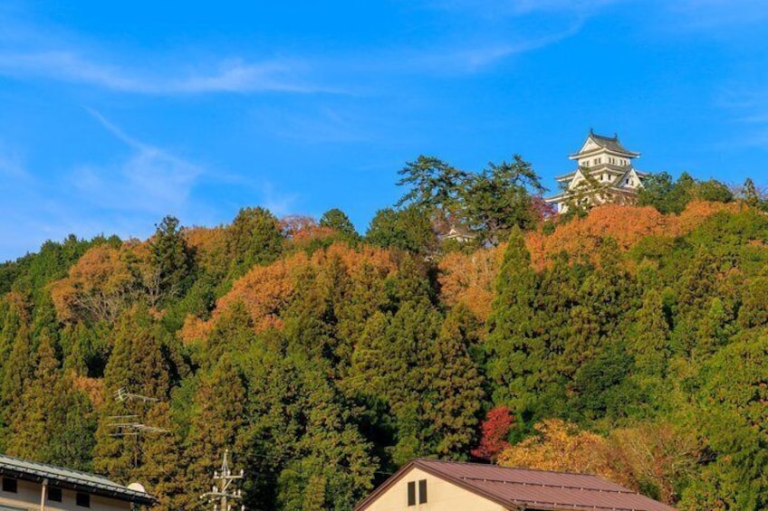 Fairytale Japan: Shirakawa-go & Takayama Day Tour from Nagoya 2