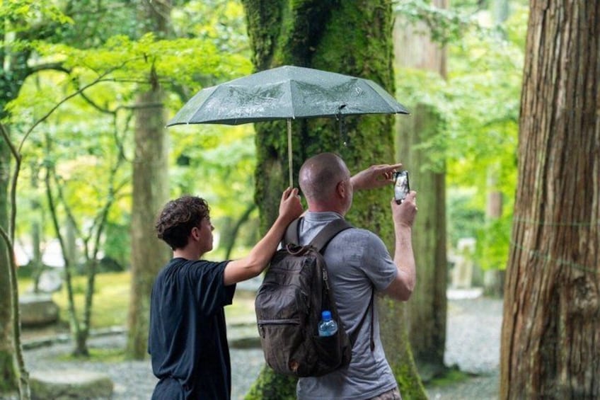 Kyoto Private Photo bike Tour 5