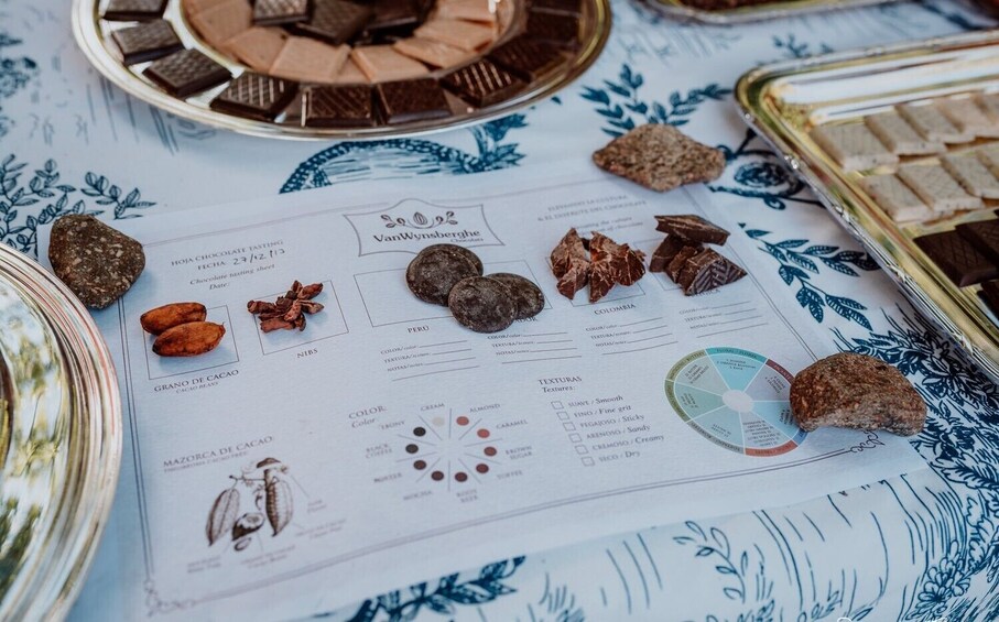 Flavors of Patagonia: Chocolate Experience 5