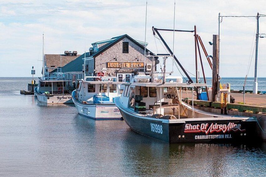 A harbor with boats docked, a building labeled 'Lobster Barn,' and a sign 'Shot of Adreneline.' 4