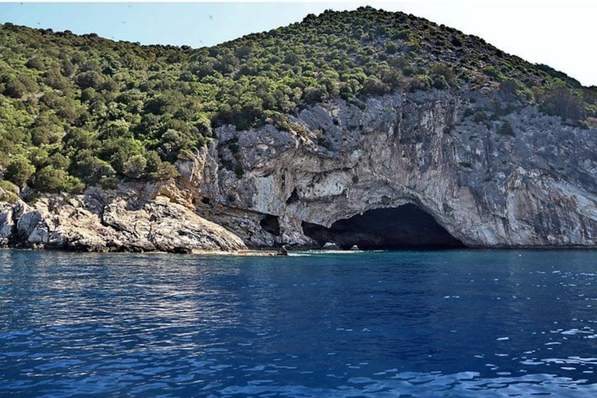 A coastal landscape with a rocky cliff, a sea cave, and a forested hill. 2