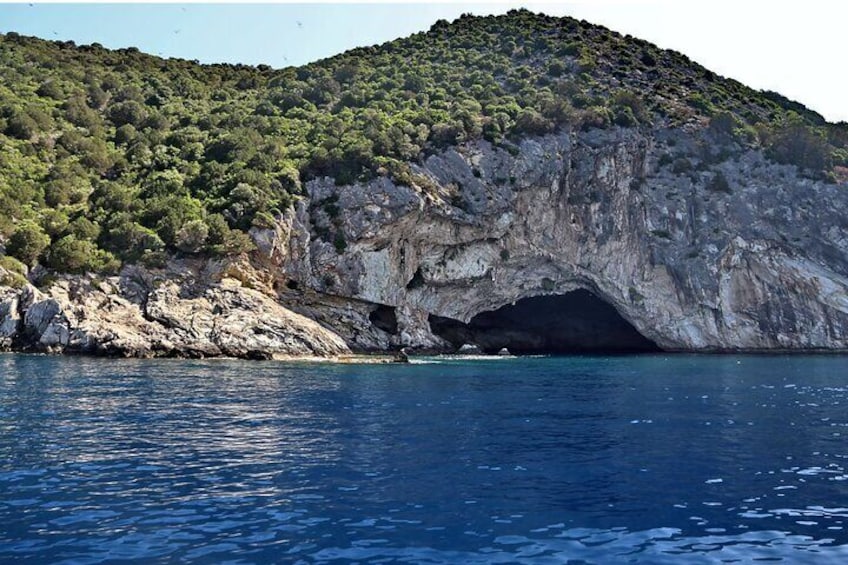 A rocky coastline with a cave entrance and a forested hill. 2