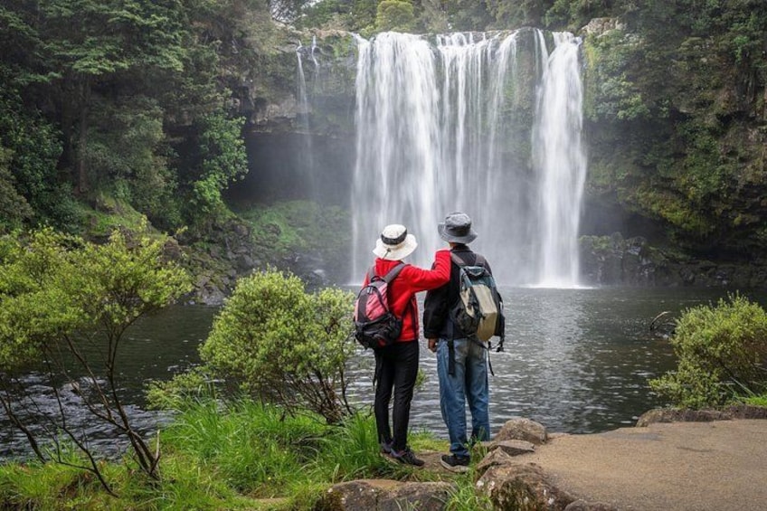 Kerikeri Heritage & Wine Escape – Paihia Private Shore Tour 1