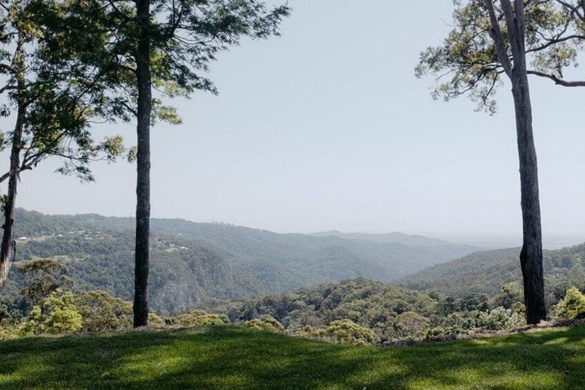 A grassy hillside with two prominent trees and a distant mountain range. 3