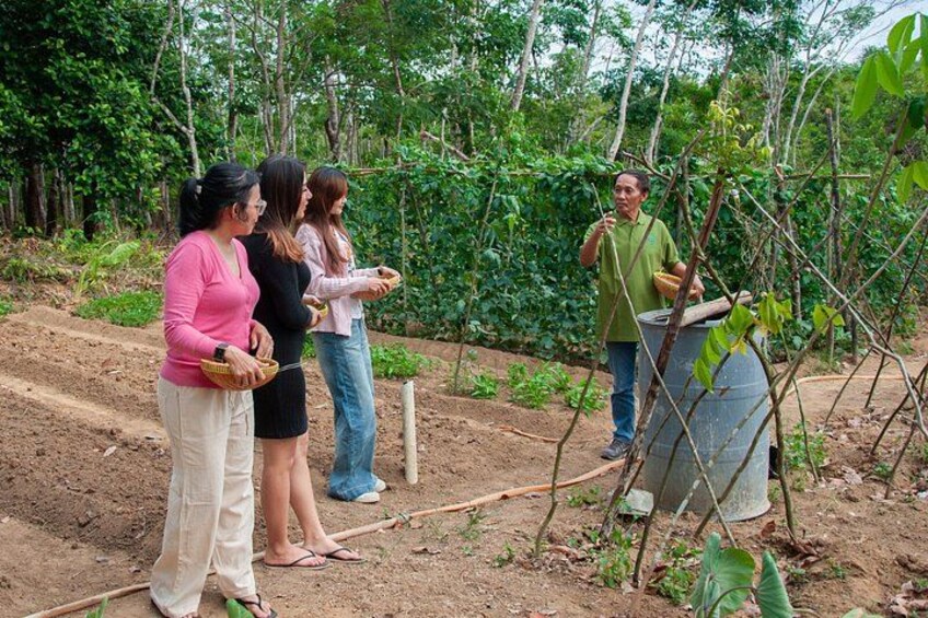 A group of people in an outdoor setting with trees and a dirt path. 5