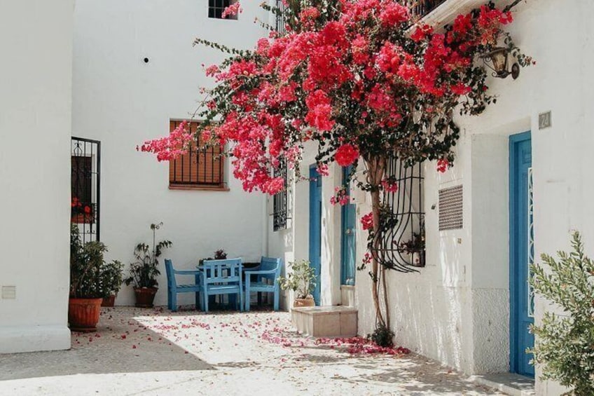 A white building with blue doors and windows, a table with blue chairs, and a tree with pink flowers. 1