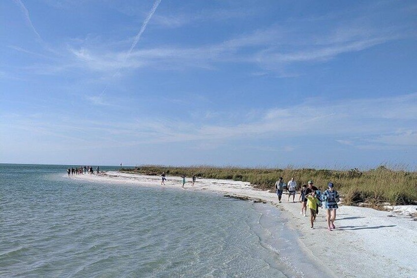 A beach with people walking along the shore and a sandy area with vegetation. 2
