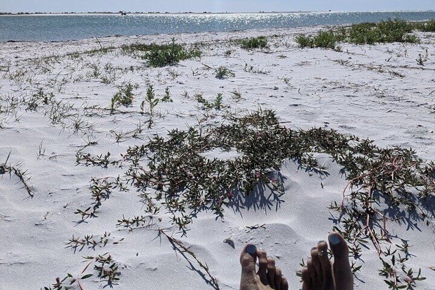 A sandy beach with sparse vegetation and a clear view of the ocean. 3
