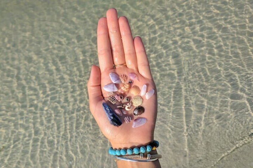 A hand holding various seashells and stones. 4