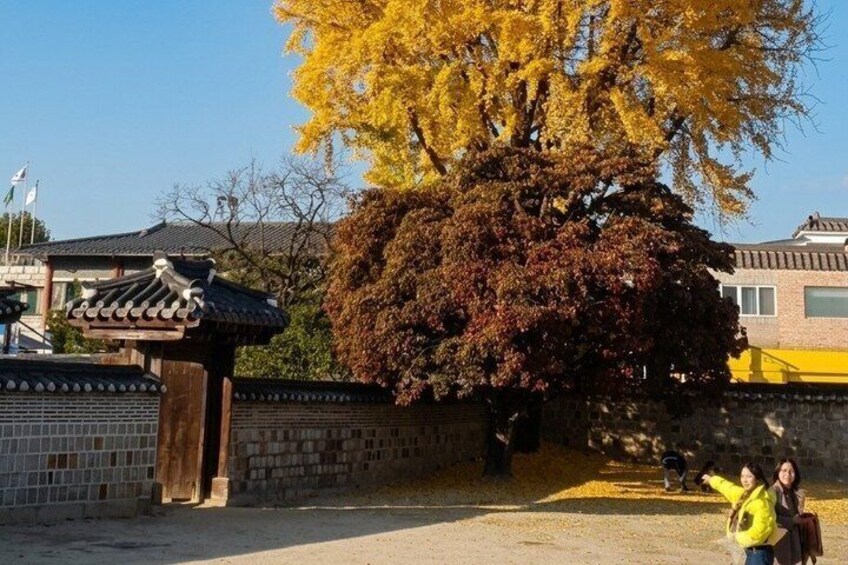 Suwon UNESCO Fortress Private Tour: Day Trip from Seoul 5