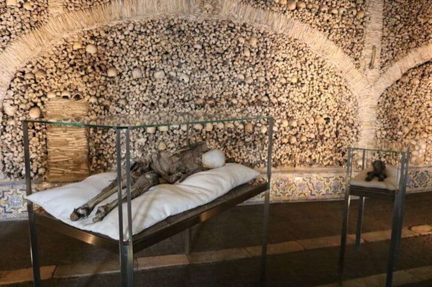 Una habitación con una cama, una mesa de vidrio y una pared cubierta de conchas. 3