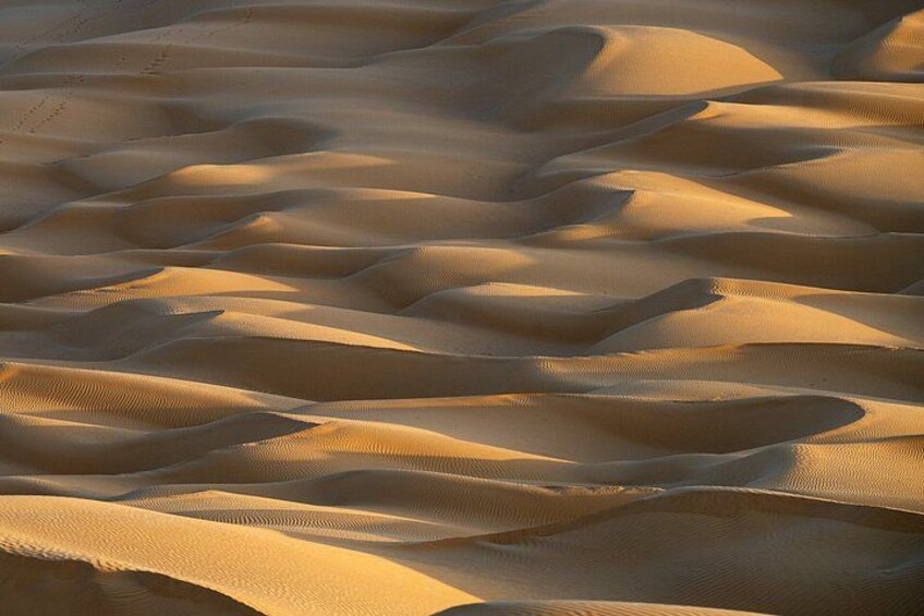 A desert landscape with undulating sand dunes. 3