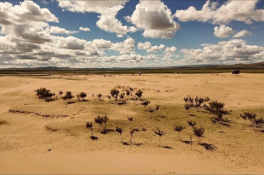 A desert landscape with sparse vegetation and a clear sky. 3