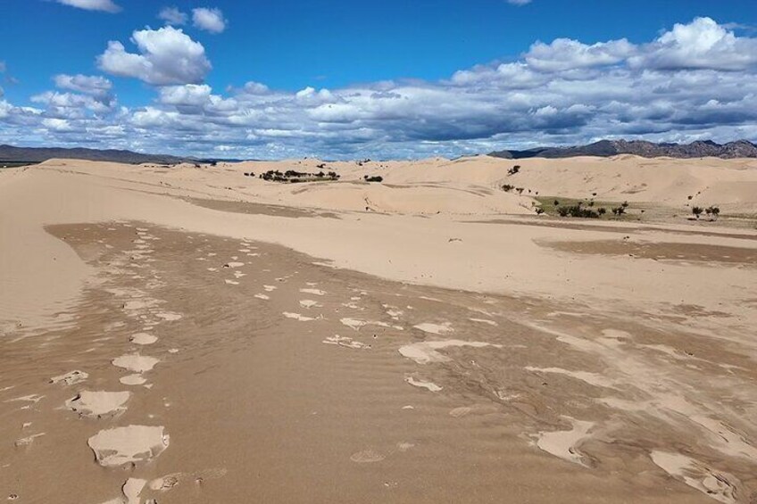 A desert landscape with sand dunes and sparse vegetation. 2