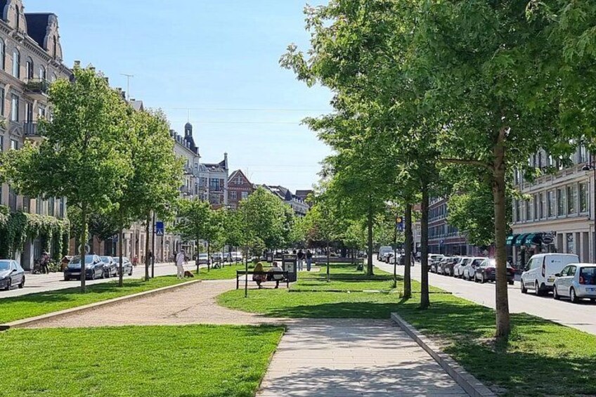 A tree-lined street with parked cars and pedestrians. 2