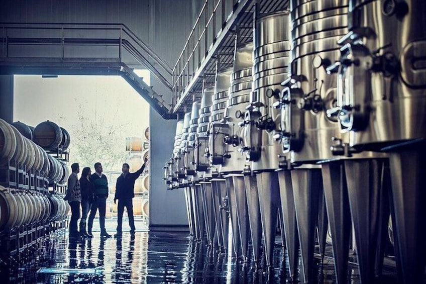 Trivento Winery Tour 4